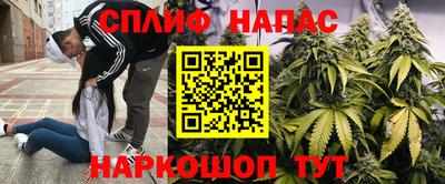 спайс Гусь-Хрустальный